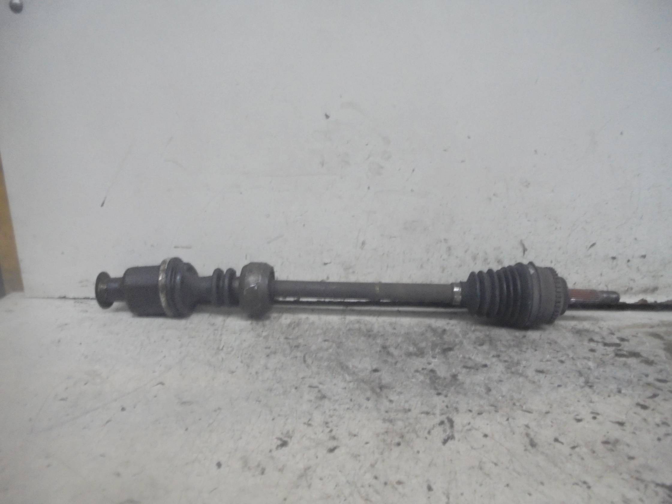 Semialbero ant. compl. dx.